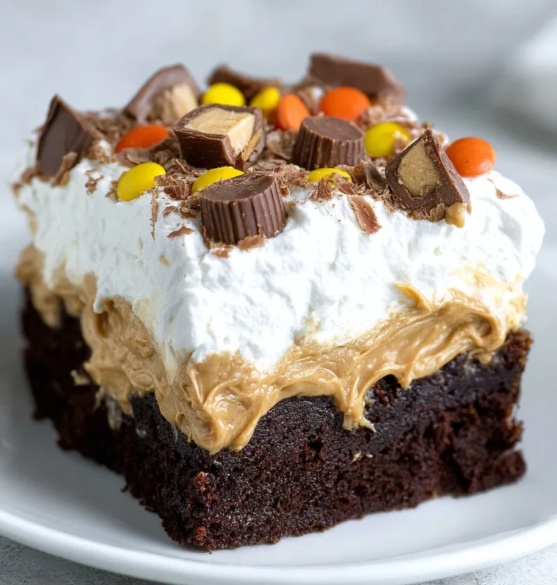 Chocolate Peanut Butter Poke Cake