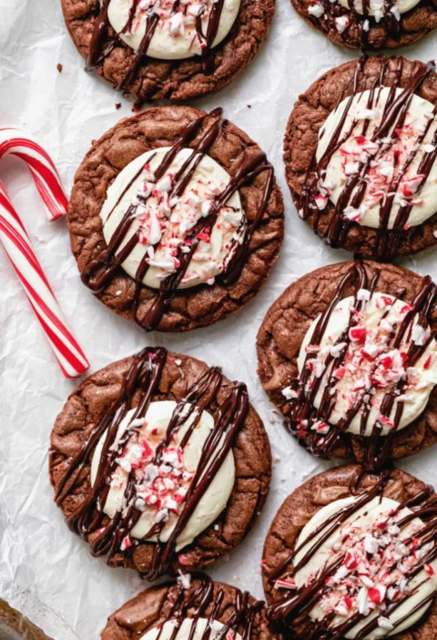 Simple Gluten-Free Hot Cocoa Cookies