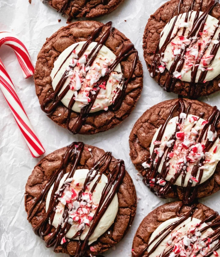 Simple Gluten-Free Hot Cocoa Cookies