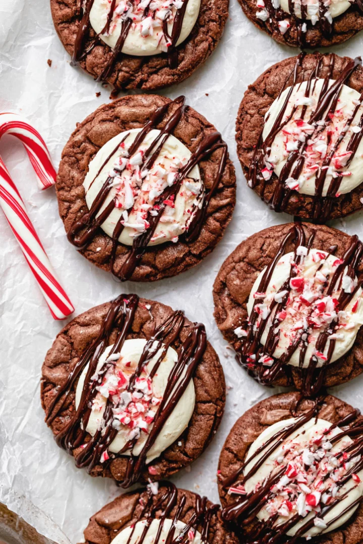 Simple Gluten-Free Hot Cocoa Cookies